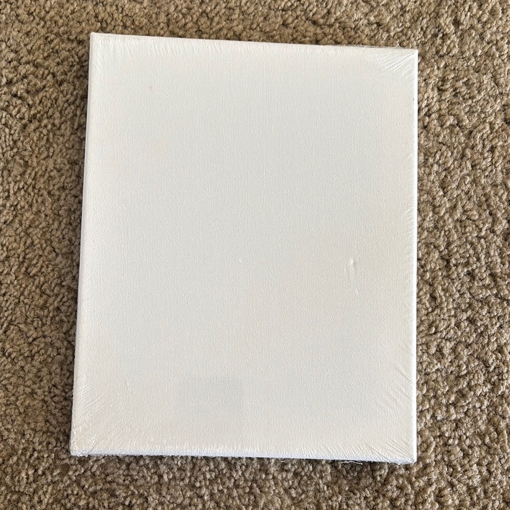 White Canvas Art Painting